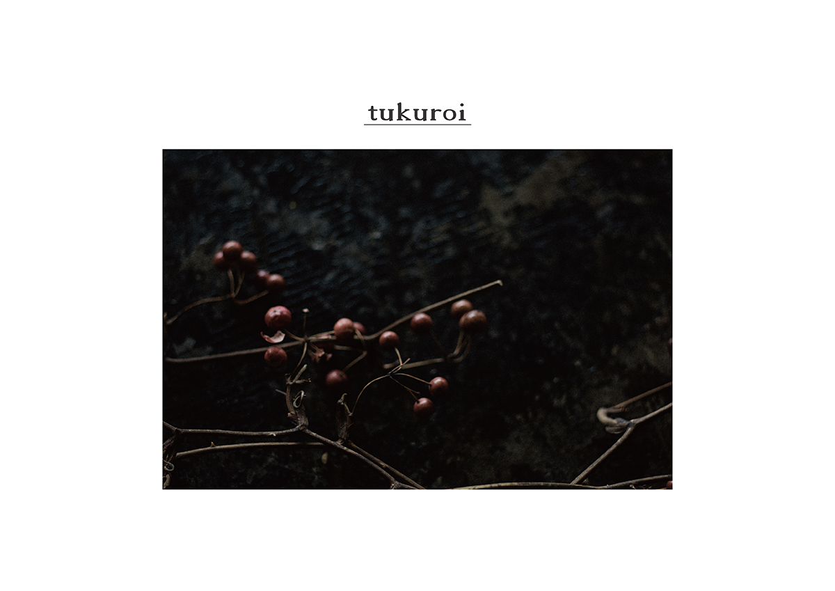 tukuroi by sunvalley